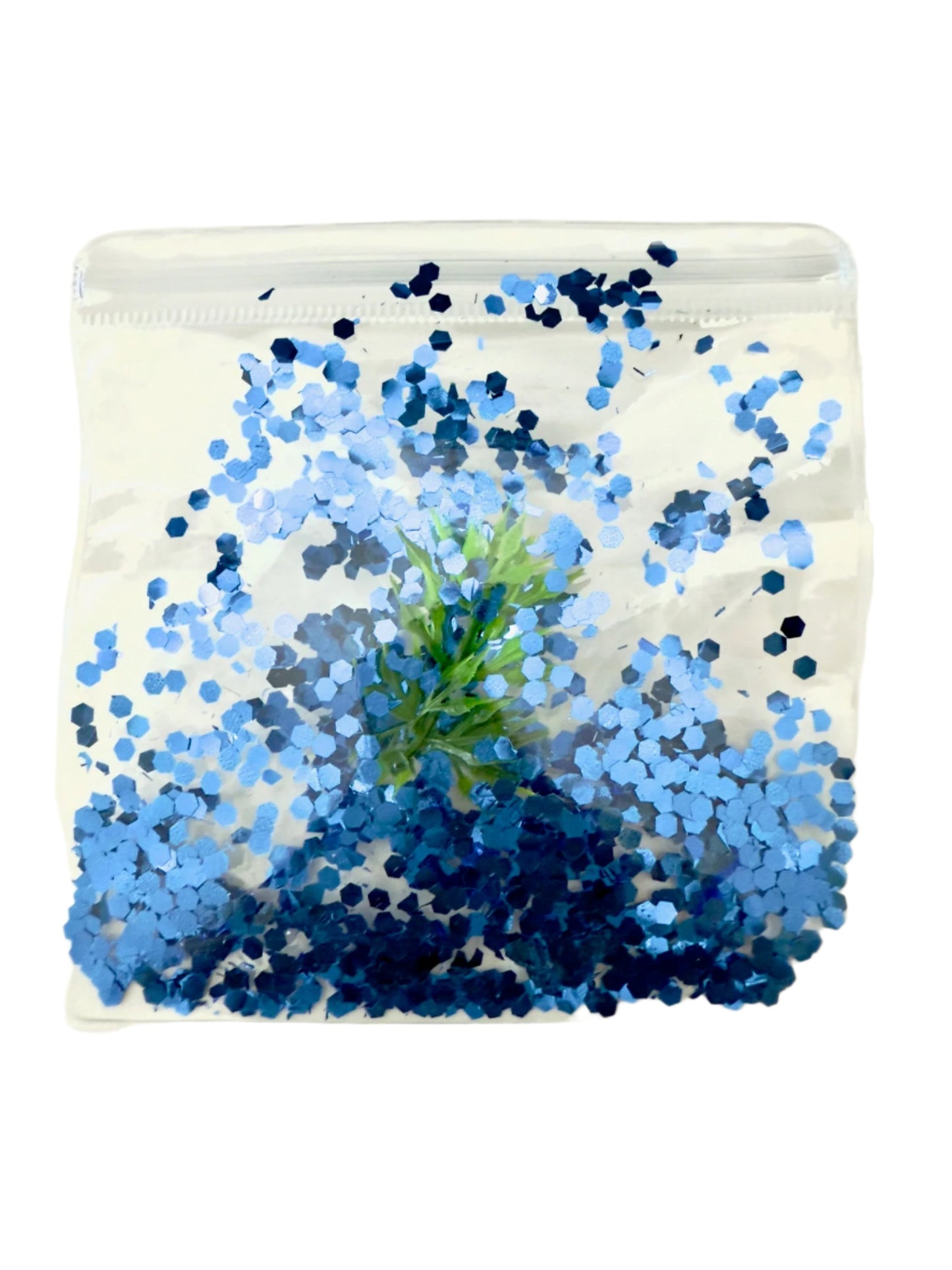 Clear pouch with blue confetti and a faux green plant