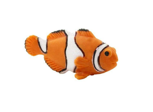 Small clownfish toy