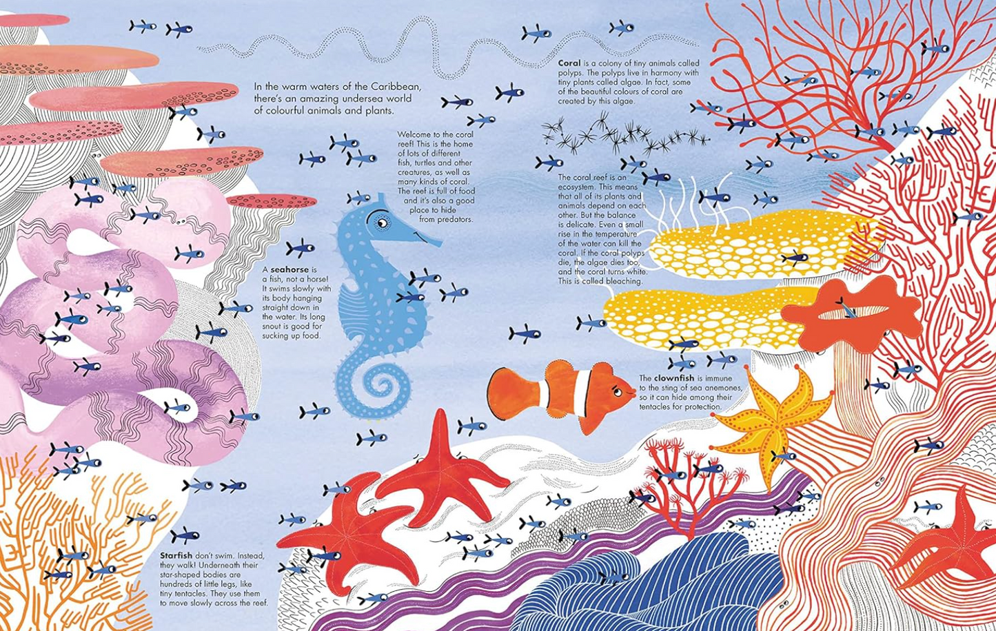 Illustration of marine life and coral with text on a blue background