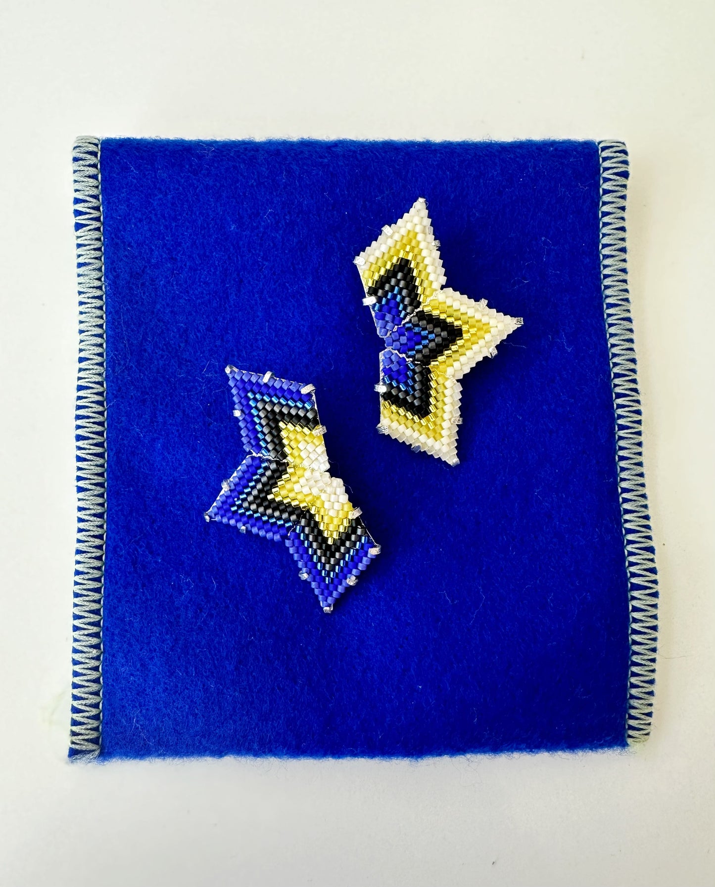 Image of Star/Blues and Yellow Earrings with case.