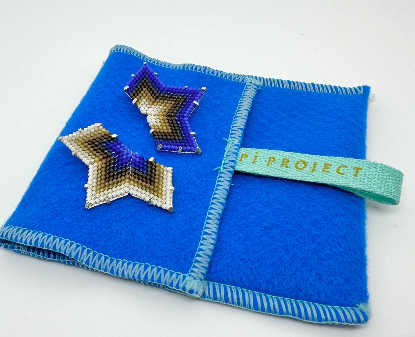 Image of Star/Blue and Brown Earrings with case.