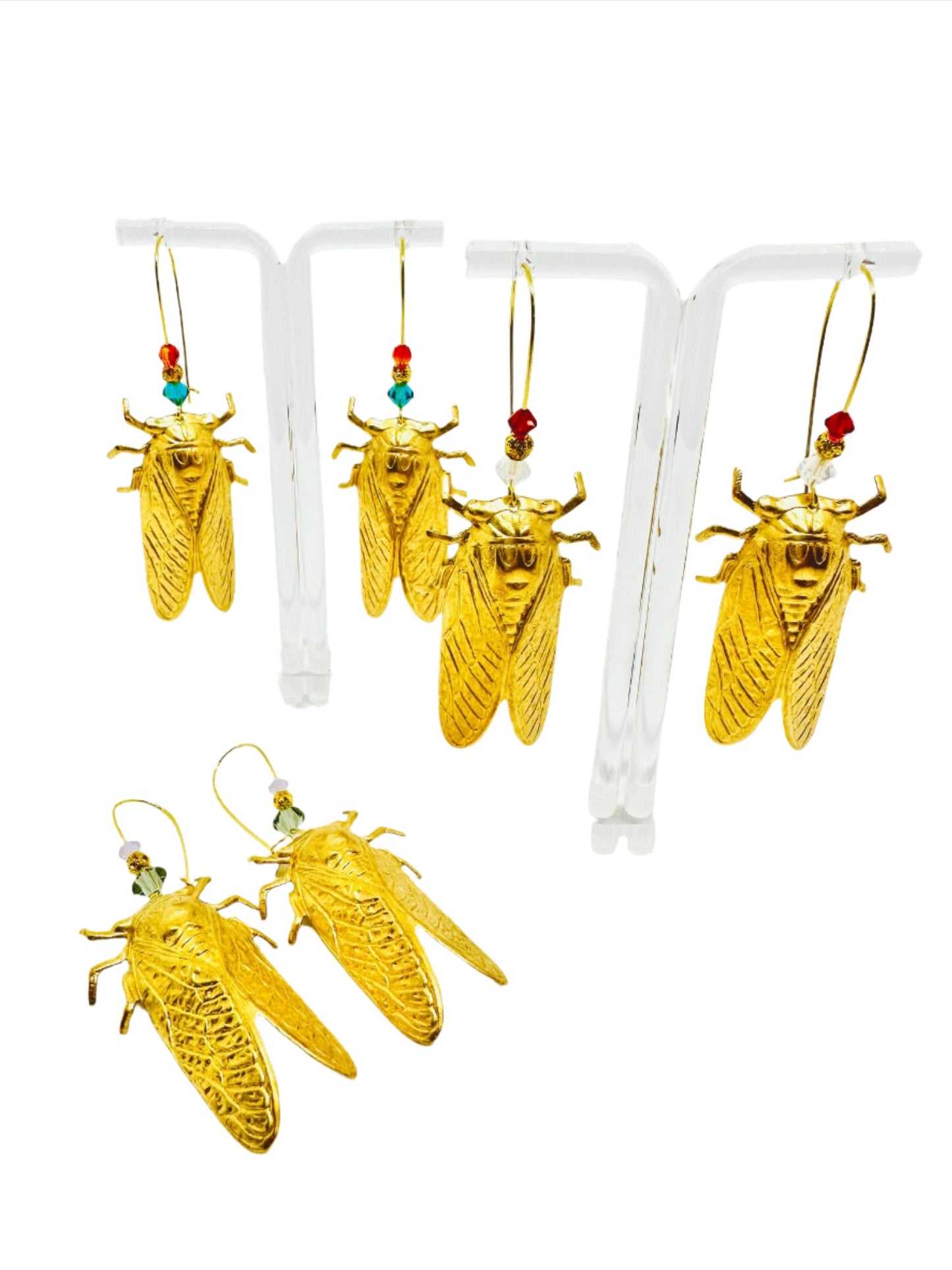 Image of three different Big Brass Cicada variants.