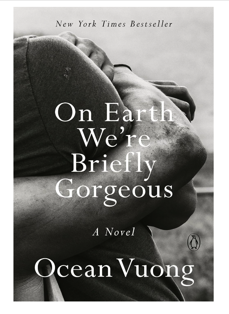 On Earth We're Briefly Gorgeous: A Novel