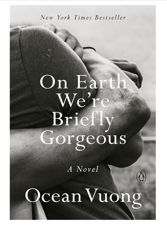 On Earth We're Briefly Gorgeous: A Novel