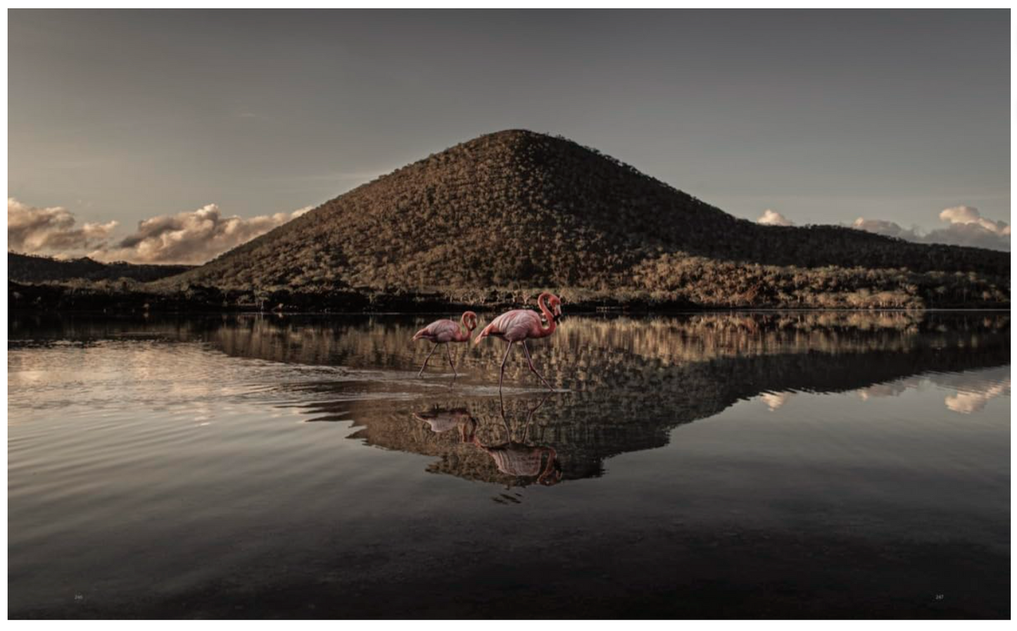 Wild Ocean: A Journey to the Earth's Last Wild Coasts
