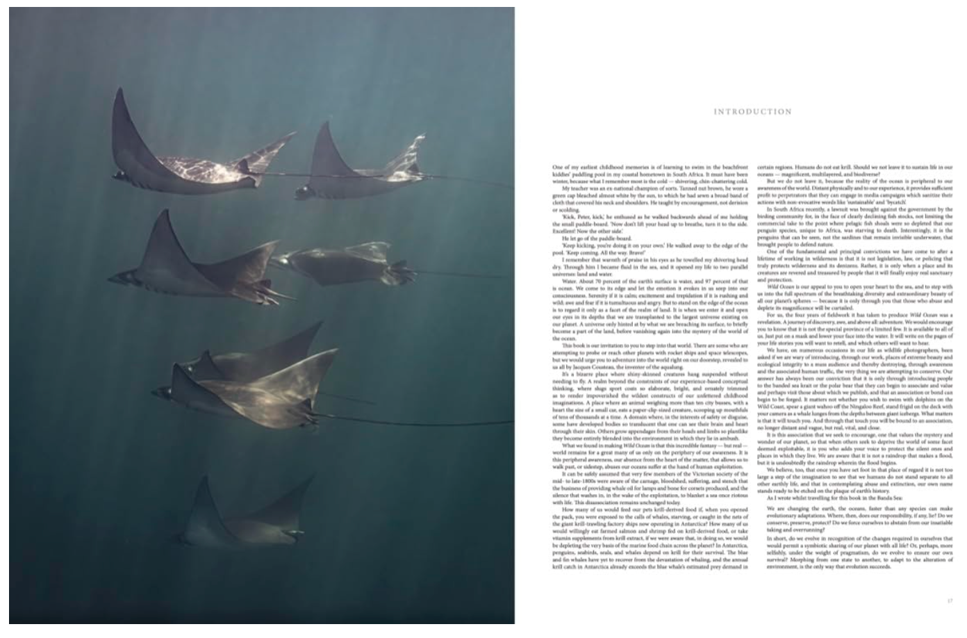 Wild Ocean: A Journey to the Earth's Last Wild Coasts