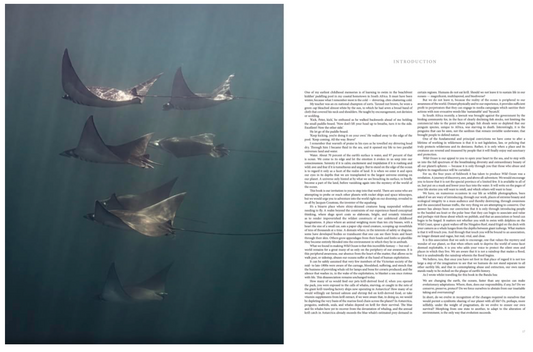 Wild Ocean: A Journey to the Earth's Last Wild Coasts