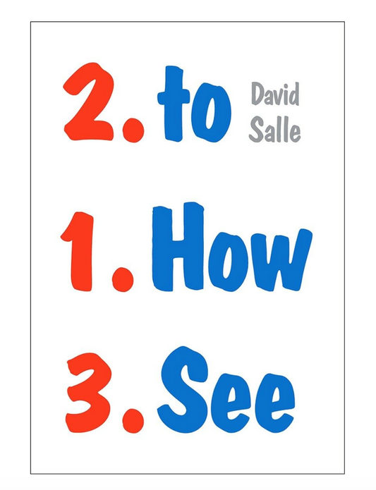 Book cover with colorful text '2. to 1. How 3. See' by David Salle on a white background