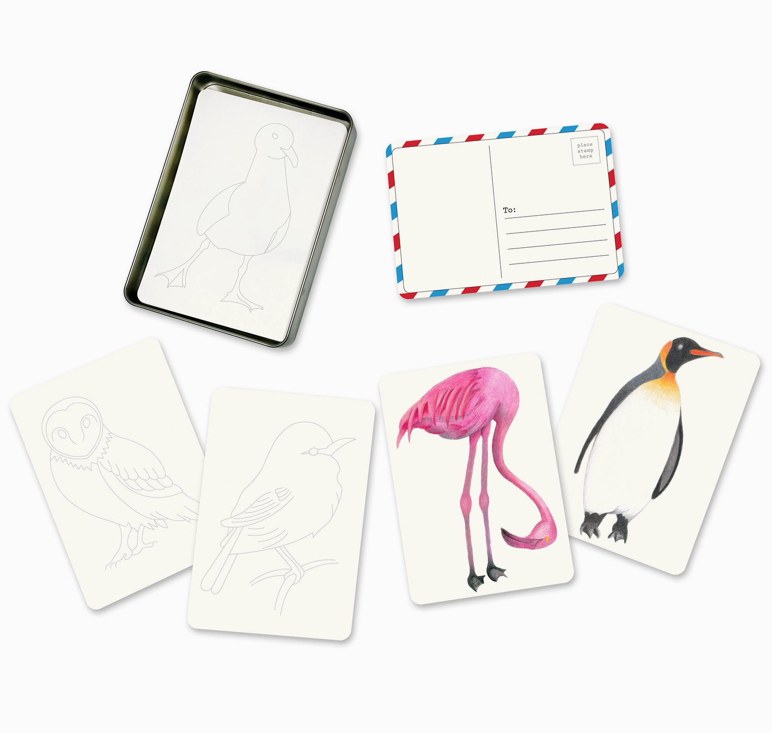 Set of cards with bird illustrations and a postcard on a white background
