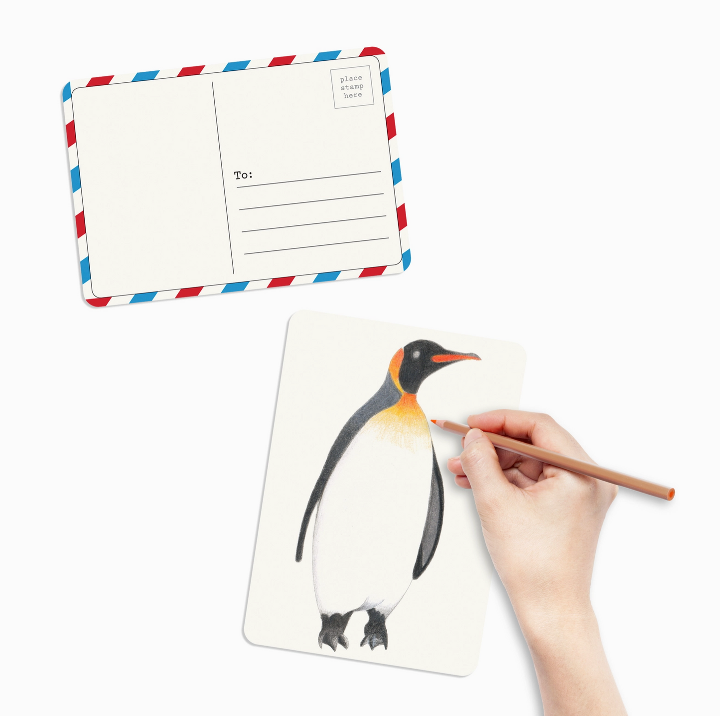 Hand coloring a penguin illustration on a postcard with a pen.