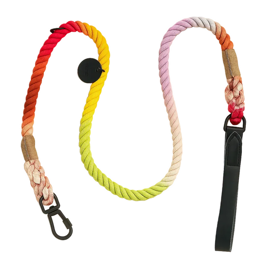 Colorful braided leash on a beige background
