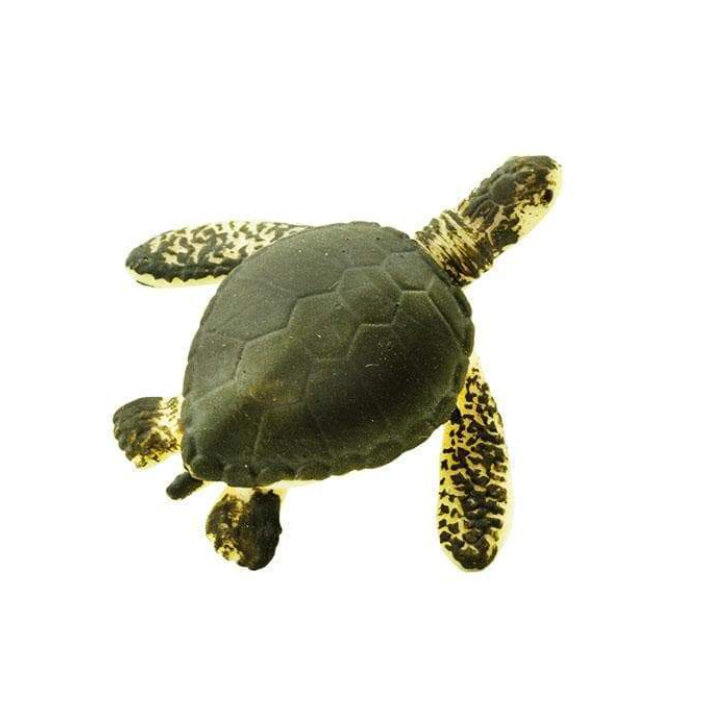 Small turtle toy 