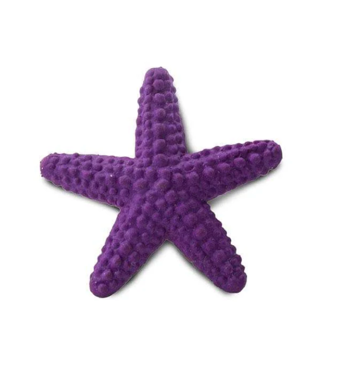 Small starfish toy 