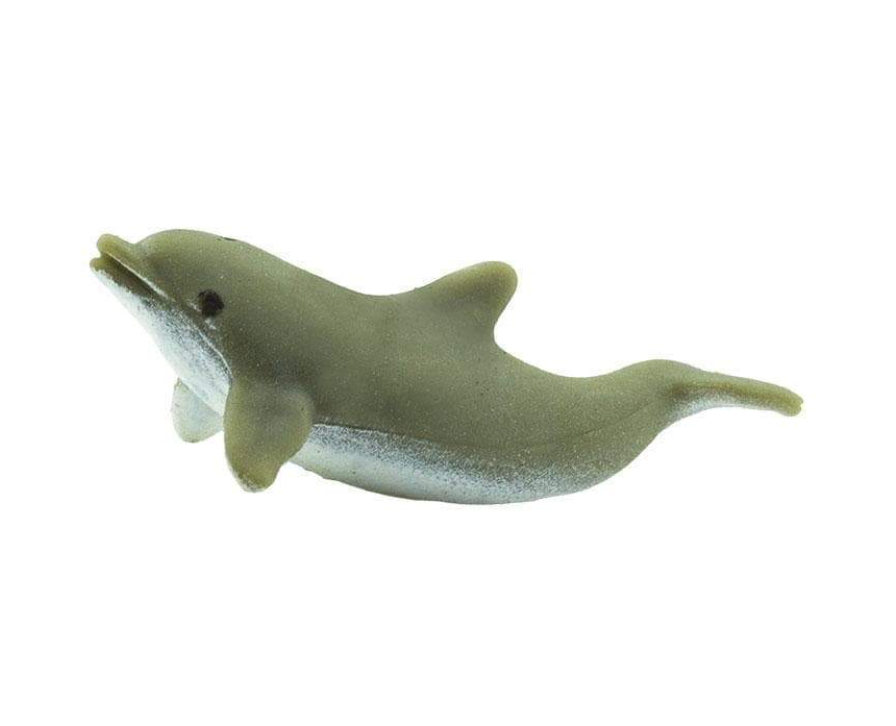 Small dolphin toy 