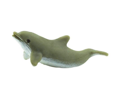 Small dolphin toy 