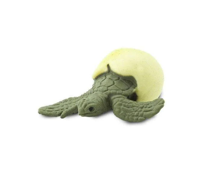Small sea turtle toy 