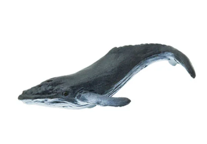 Small Gray Whale toy 