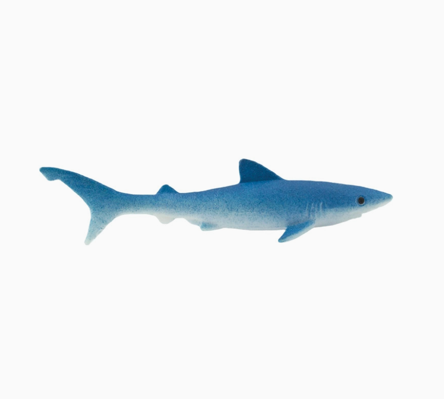 Small Blue Shark toys