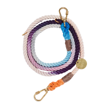 Colorful braided dog leash with a gold clasp on a white background